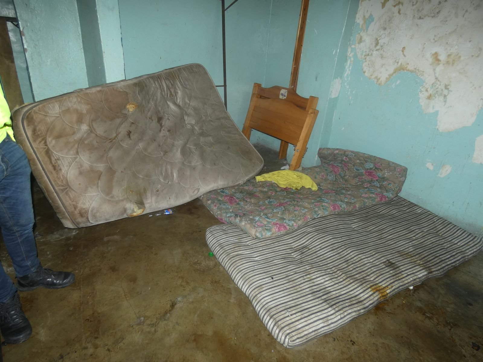 Alcaldía y Policía Metropolitana cierran residencias insalubres en Ibagué