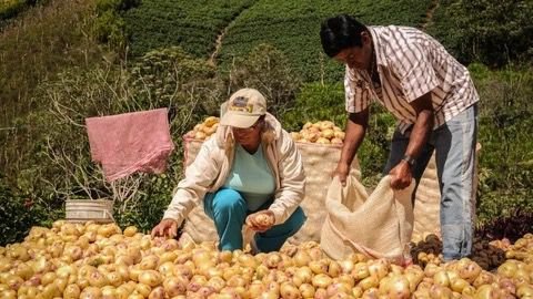 ¿El aumento del salario mínimo alcanza para la canasta familiar? Esto dicen los expertos