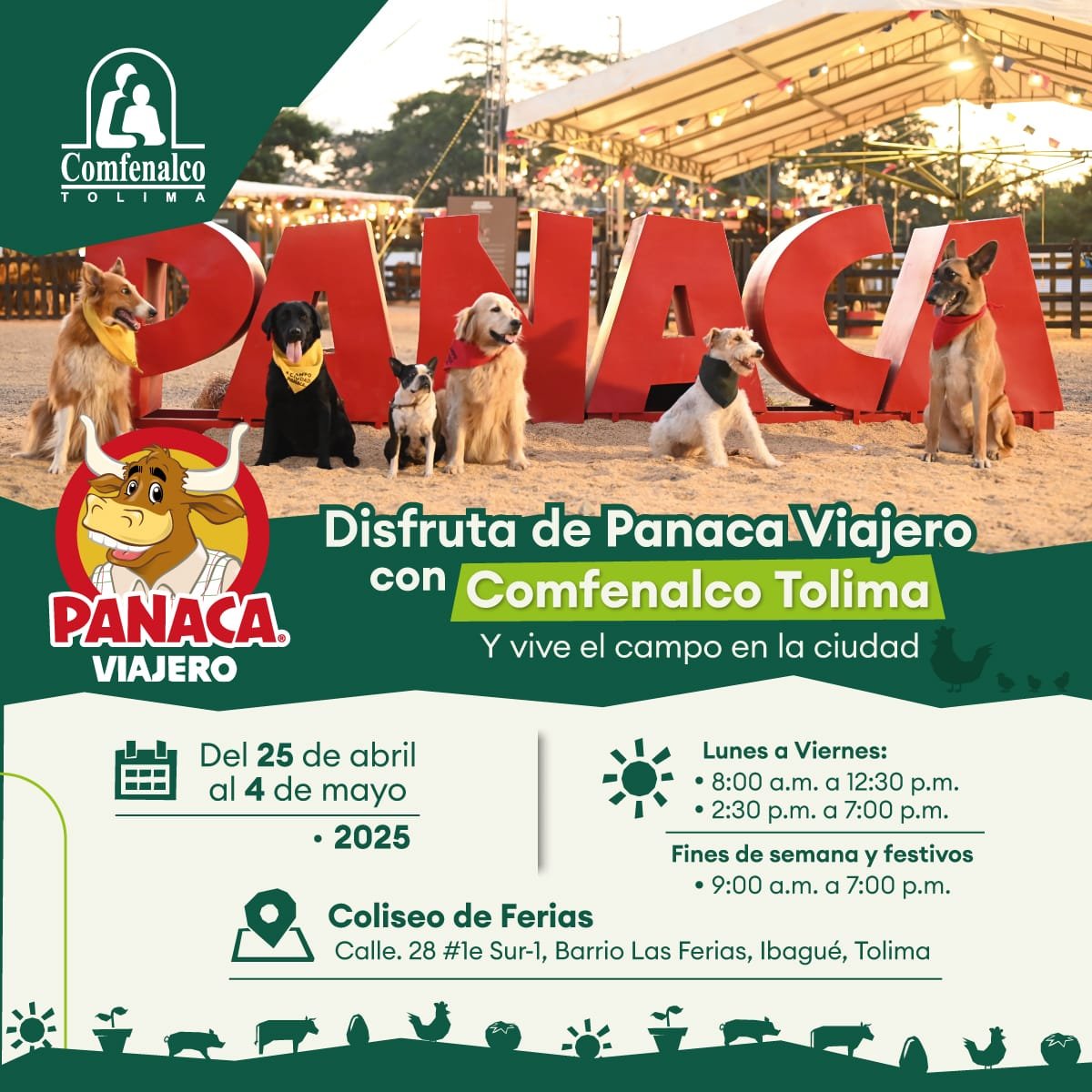 🌾 ¡El campo llega a Ibagué! Panaca Viajero aterriza con experiencias únicas y tarifas especiales