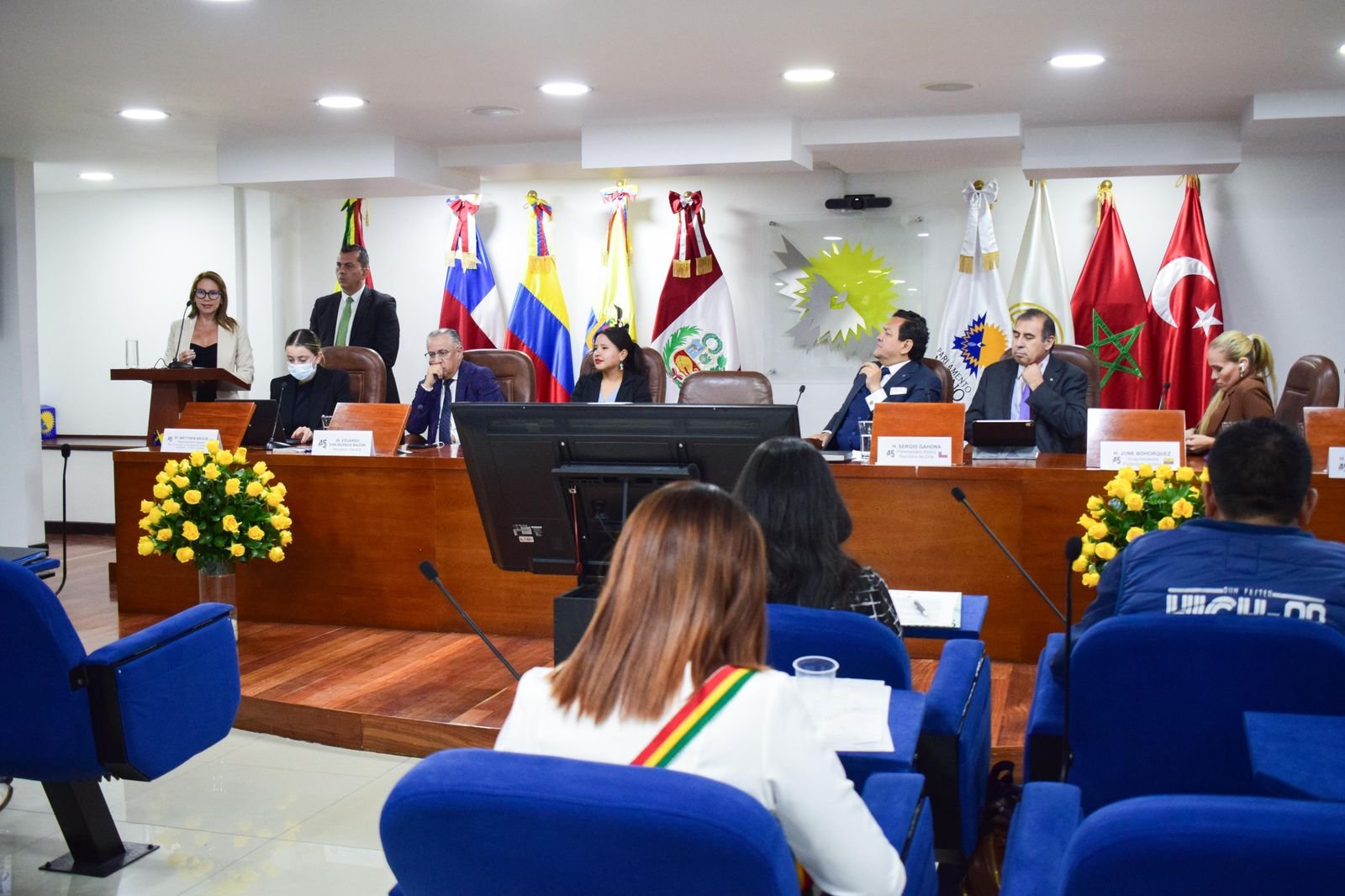Parlamento Andino respalda histórica propuesta del Tolima para salvar la Cordillera de Los Andes