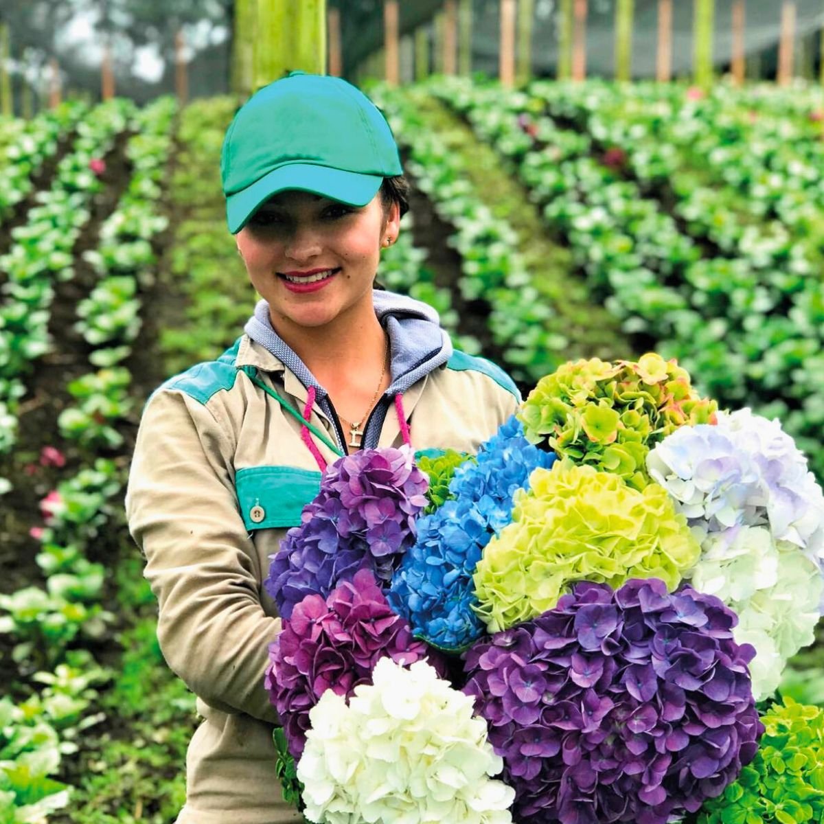 Flores en riesgo: arancel de Trump amenaza millonario negocio colombiano en EE. UU.