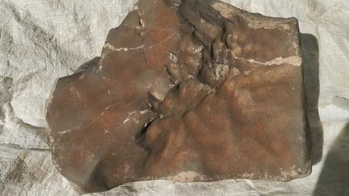 ¡Del Sáhara al récord mundial! Encuentran piedra “común” que resulta ser el mayor meteorito marciano jamás subastado