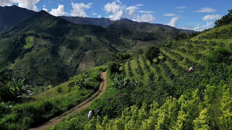 EE.UU. “descertifica” a Colombia en la lucha antidrogas y abre una grieta en su histórica relación