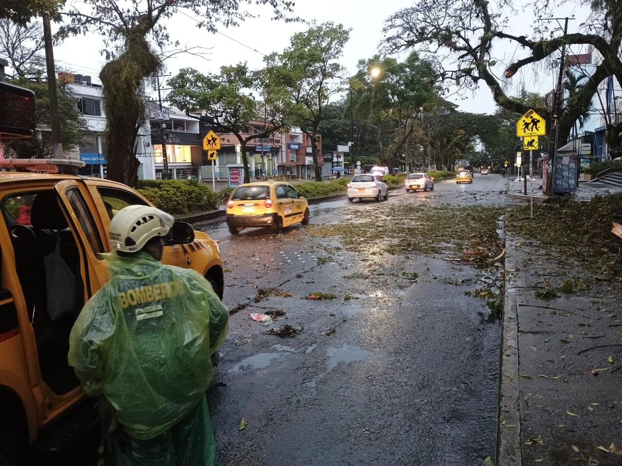 Más de 20 emergencias en Ibagué por lluvias nocturnas: árboles caídos, calles inundadas y el Cuerpo de Bomberos en acción