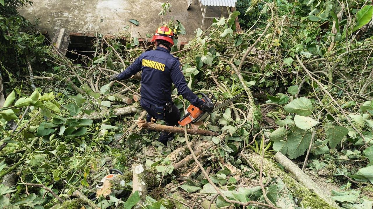 Árboles caídos, inundaciones y emergencias: el intenso puente festivo que vivió Ibagué