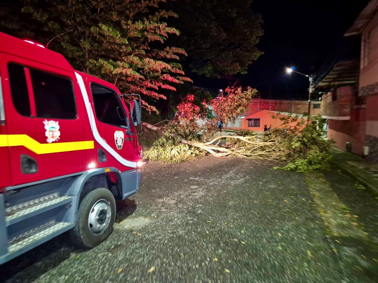 Ibagué bajo el agua: intensas lluvias causan inundaciones y caída de árboles este domingo