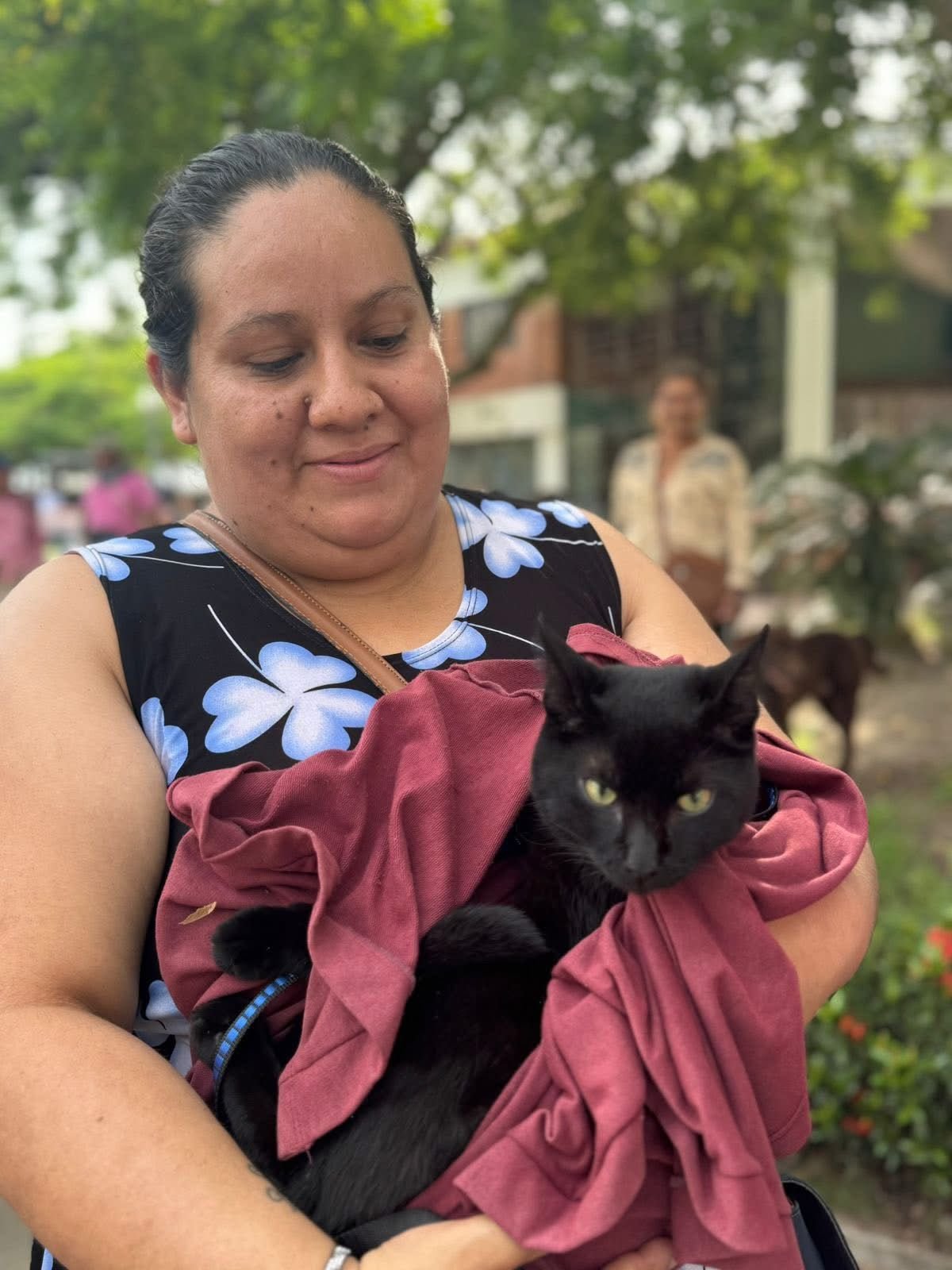 “Tour de las Obras” llevó bienestar animal a Coello: 50 mascotas atendidas por la Unidad Móvil Veterinaria del Tolima
