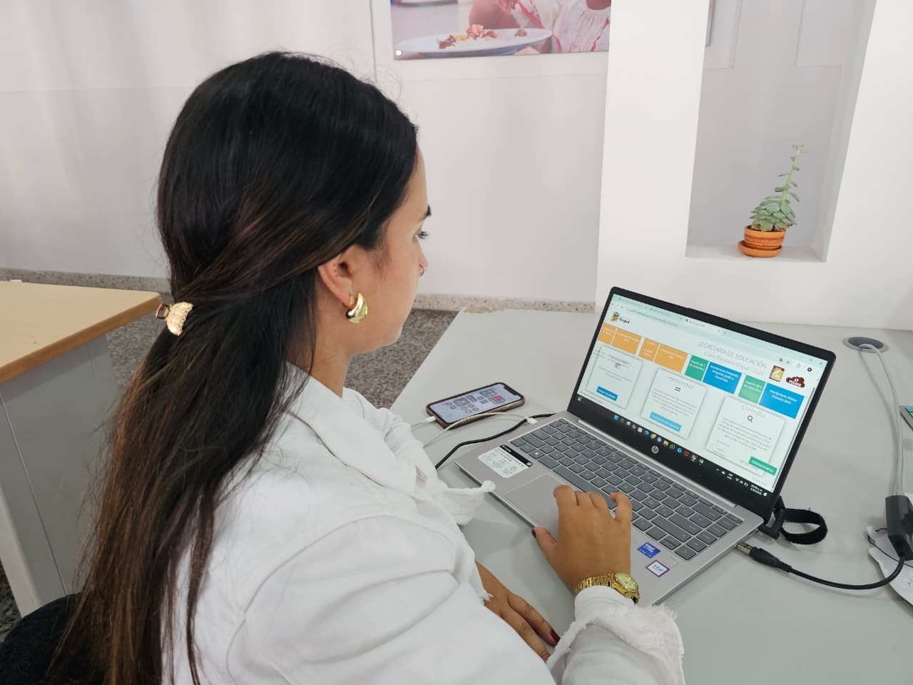 Ibagué pausa cupos escolares: la plataforma se apaga hoy y solo volverá en enero