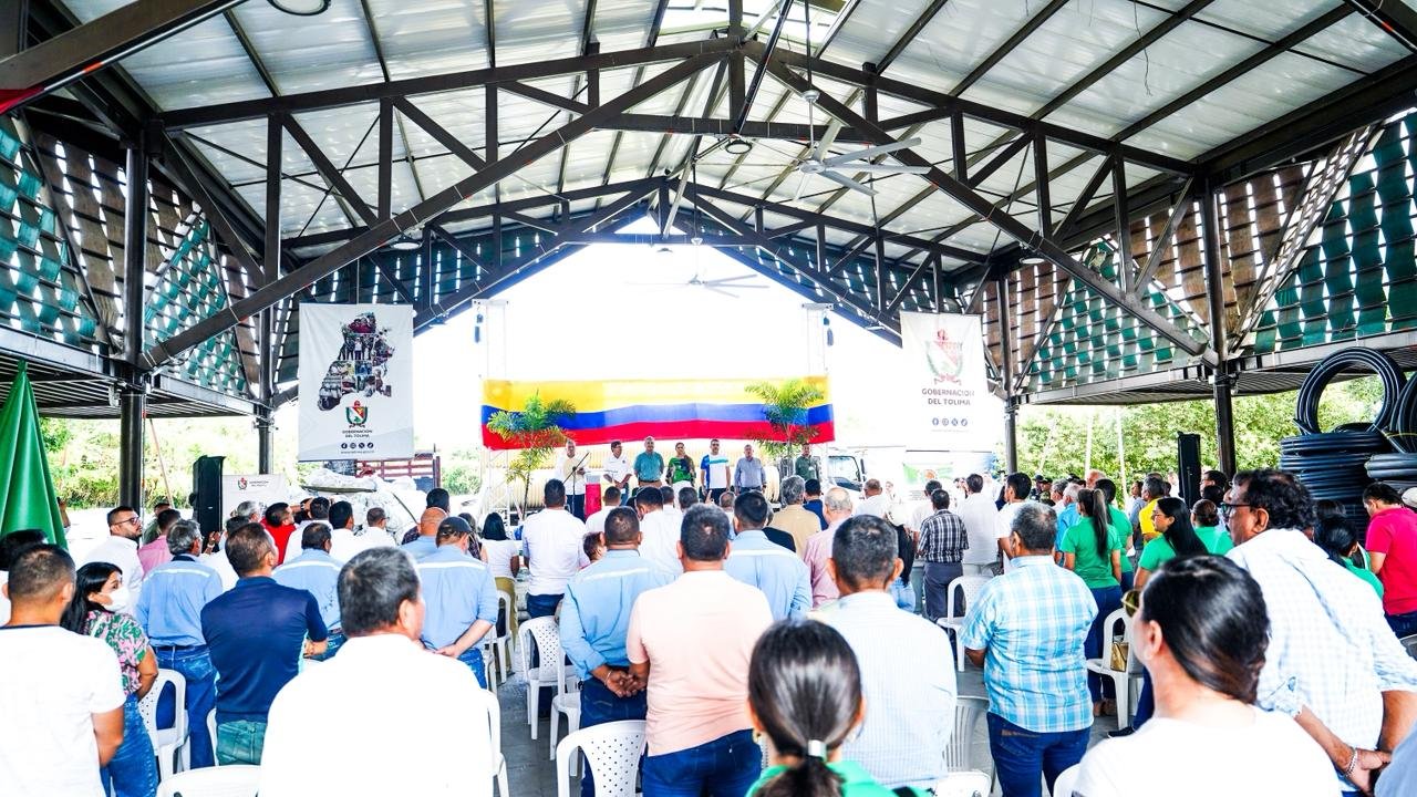 Tolima mueve la aguja del agro: inversión de $3.340 millones impulsa a 4.870 familias arroceras