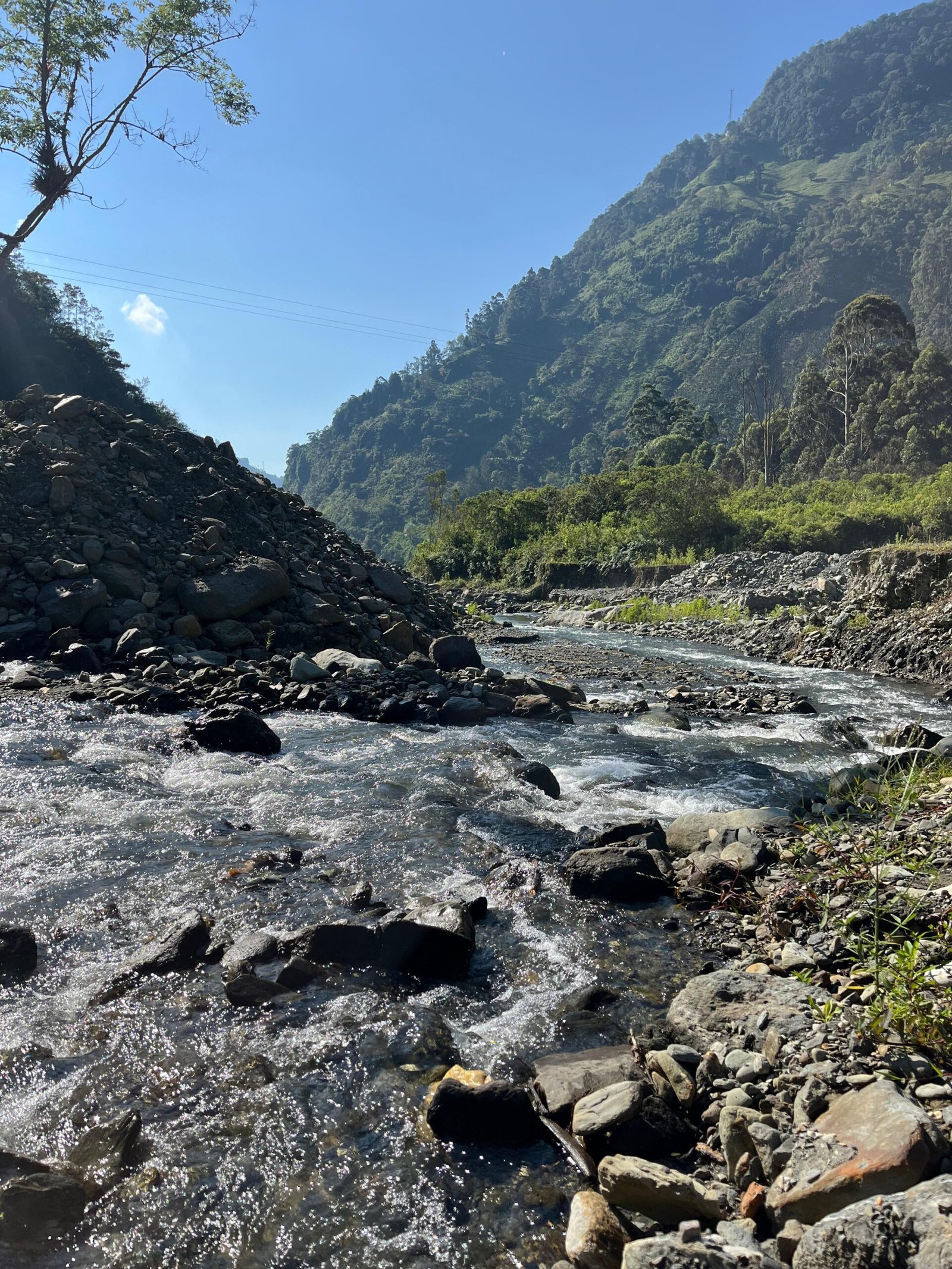 IBAL protege el origen del agua que consume Ibagué: así refuerza la conservación ambiental en zonas clave