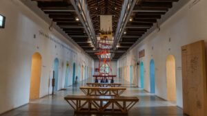 Del bosque al sonido: el Museo Panóptico de Ibagué abre exposición gratuita sobre instrumentos hechos con plantas